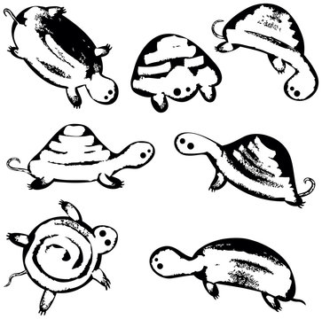 Funky vector turtles icon set