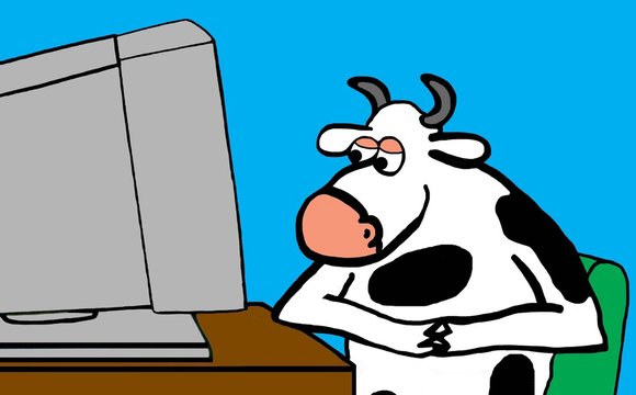 Color illustration of a cow looking at the internet on his computer.