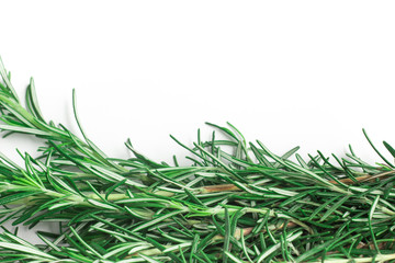 Fresh Rosemary Frame