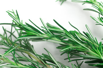 Fresh Rosemary Background