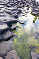 Giants Causeway, Northern Ireland