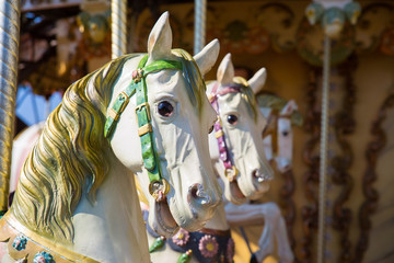 Fototapeta na wymiar Close up of horses heads on a merry go round.