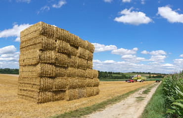 Gestapelte eckige Strohballen an einem Feld mit Mähdrescher