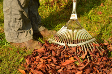 Autumn cleaning - raking fall leaves - obrazy, fototapety, plakaty