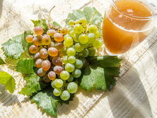 glass with stum and grapes