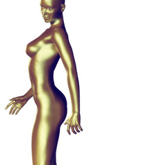 Naklejka premium 3d rendered illustration of a female body