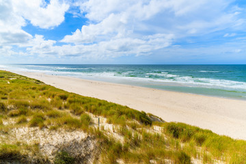 Fototapeta na wymiar Grass on sand dune and view of beach in List village, Sylt island, Germany