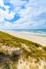 Grass on sand dune and view of beach in List village, Sylt island, Germany