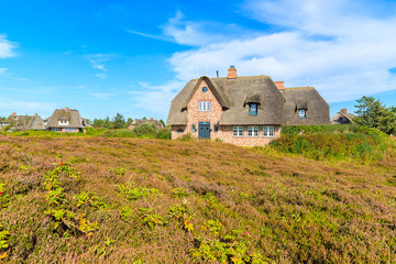 Fototapeta na wymiar Traditional houses with thatched roofs in countryside landscape of Sylt island in Kampen village, Germany