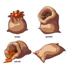 Vegetables In Bags Elements Set