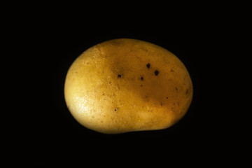 juicy and beautiful potatoes on a black background large