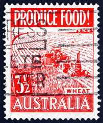 Postage stamp Australia 1953 Wheat Harvest, Food Production