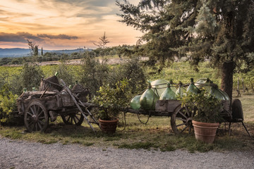 Obraz premium Tuscany, Italy