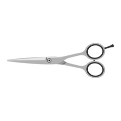 Scissor vector illustration isolated