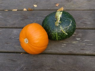 Pumpkins 2016 1