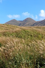 Fototapeta premium 秋の阿蘇の風景