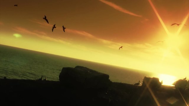 A stationary shot of seagulls flying over a cliff overlooking the sea at sunset. HD 1080p.