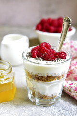 Layered yogurt dessert with granola,chia seed and fresh raspberr