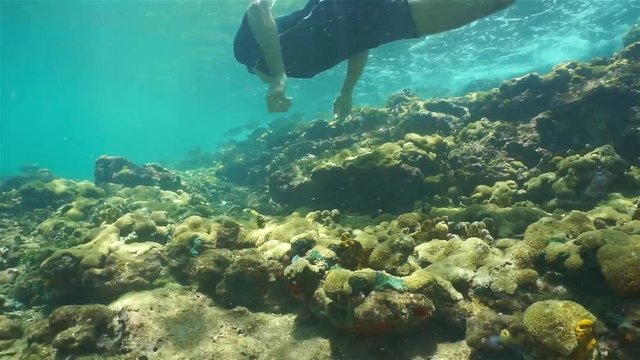 Underwater wave breaking on reef with fish and a man snorkeling, Caribbean sea