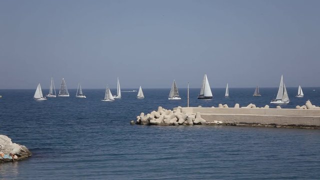 A group of sailboats at sea, near a pier, ready for a competition (regatta).
