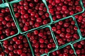 Cherries