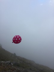 Palloncino 
