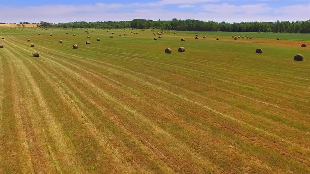 Many Round Bails of Hay in Vast Farm Field, low aerial flyover.

