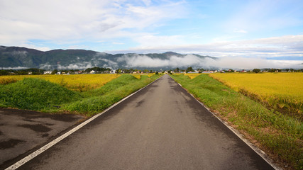 秋の山村でみる実りの稲田