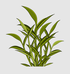 Fresh Green Leaves Vector Elements