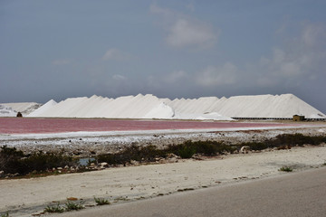 Piles of pink and white sea salt in Bonaire