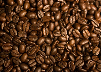 Fototapeta premium Medium Roast Coffee Beans