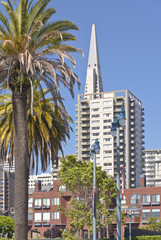 San Francisco skyline and residential area.