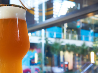 cold glass of beer in pub