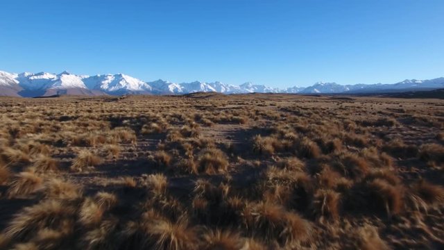 Moving view over alpine tussock in Canterbury, New Zealand