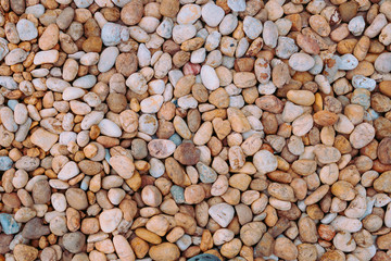 Colorful round rocks floor background with a  orange and white round rock.