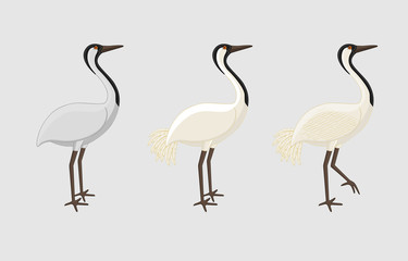Lucky Crane Birds Vector Illustration
