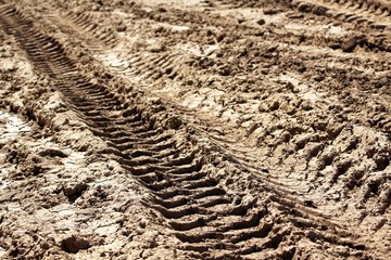 Tire Tracks in Mud