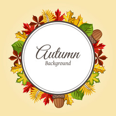 Wreath of autumn leaves vector illustration. Autumnal round frame. Background with hand drawn autumn leaves. Design elements.