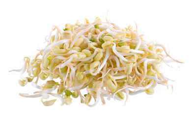 Bean Sprouts on White Background