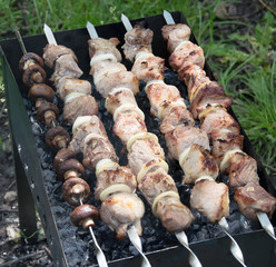 Picnic in the open air. Shashlik (shish kebab barbecue) on nature. Skewer with pork meat fried on brazier