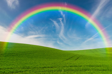Obraz premium Landscape with Field and Rainbow