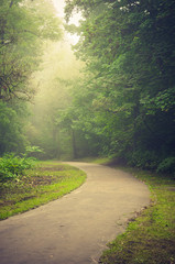 Obraz premium Asphalt footpath in foggy park, Krakow, Poland