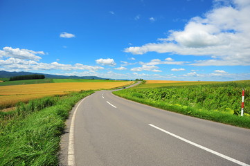 Cultivated Lands at Countryside