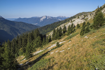 Massif de la Chartreuse - Lances de Malissard.