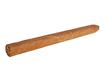 Brown cigar on a white background