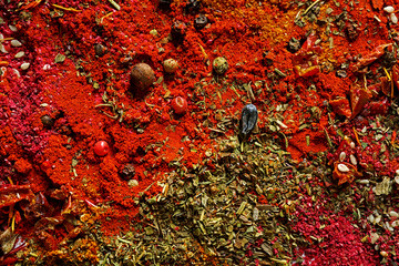 Mix of different flavored spices background