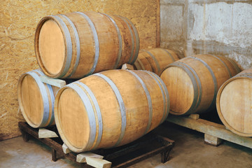 Wooden barrels for wine in cellar