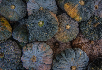 Selective focus, pumpkins in the market, chanthaburi, Thailand.