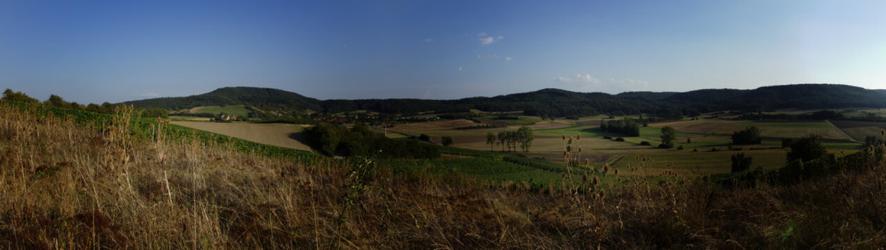 Steigerwald am Abend