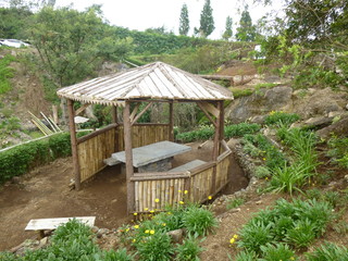 Nature des &icirc;les